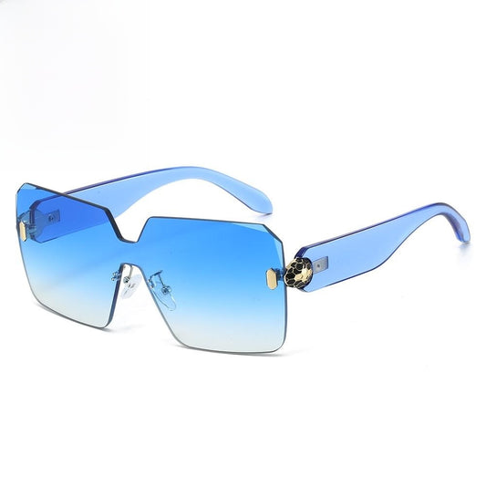 Fashion Square Sunglasses