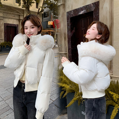 Detachable Hood Winter Cotton Jacket