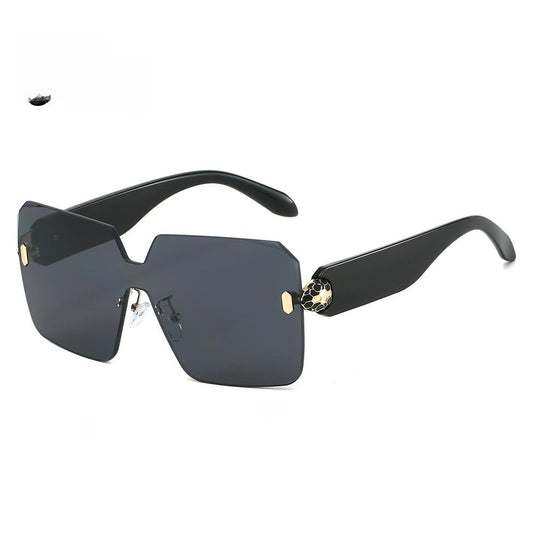 Fashion Square Sunglasses