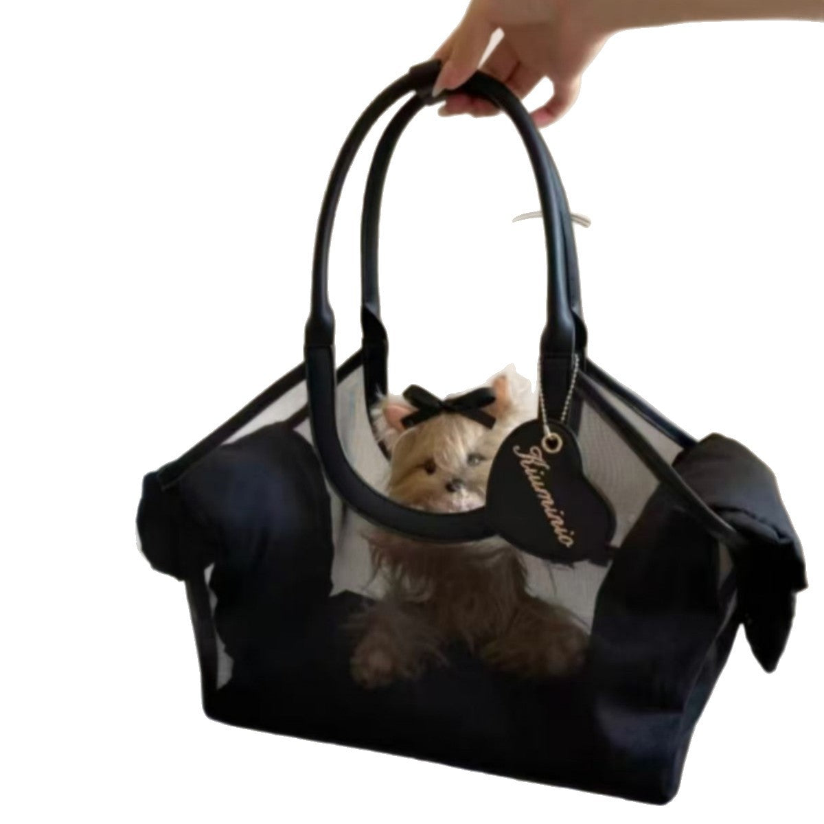 French Style Mesh Pet Carrier Bag