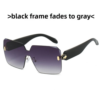 Fashion Square Sunglasses
